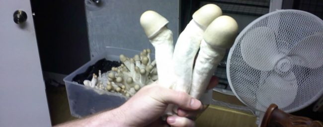 giving a lingam massage how to give a lingam massage