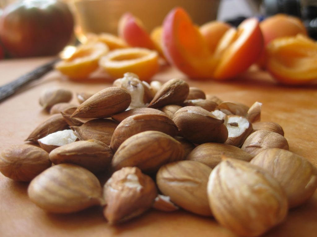 Apricot kernels