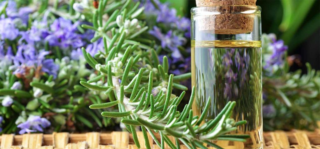 rosemary oil