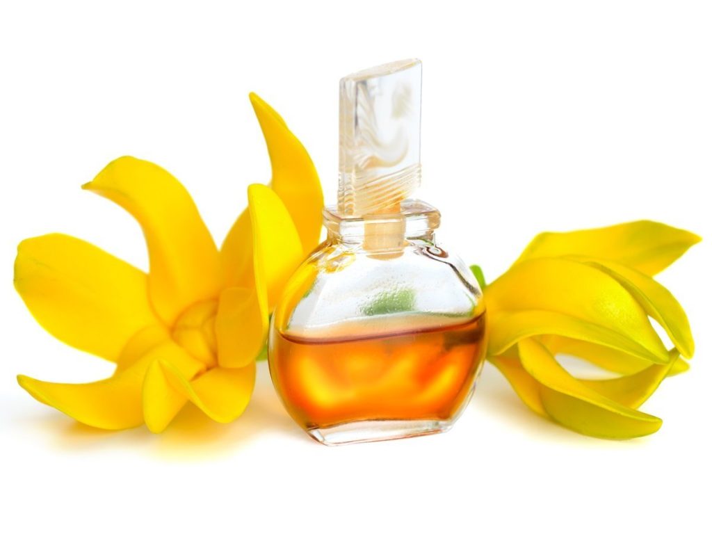 ylang ylang